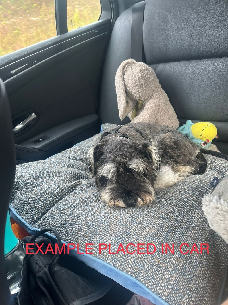 Puede incluir: Un perro Schnauzer gris y negro descansando sobre una cama para perros azul y gris dentro de un coche. Un conejito de peluche y un peque&ntilde;o juguete son visibles en el fondo. El texto "EXAMPLE PLACED IN CAR" es visible.
