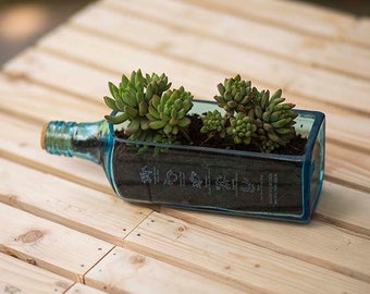 Upcycled Blue Gin Bottle Planter – Handmade Recycled Glass Plant Pot for Succulents, Eco Friendly Home Decor & Gift