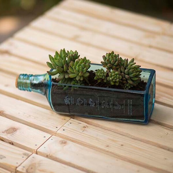 Glass Bottle Planter Etsy