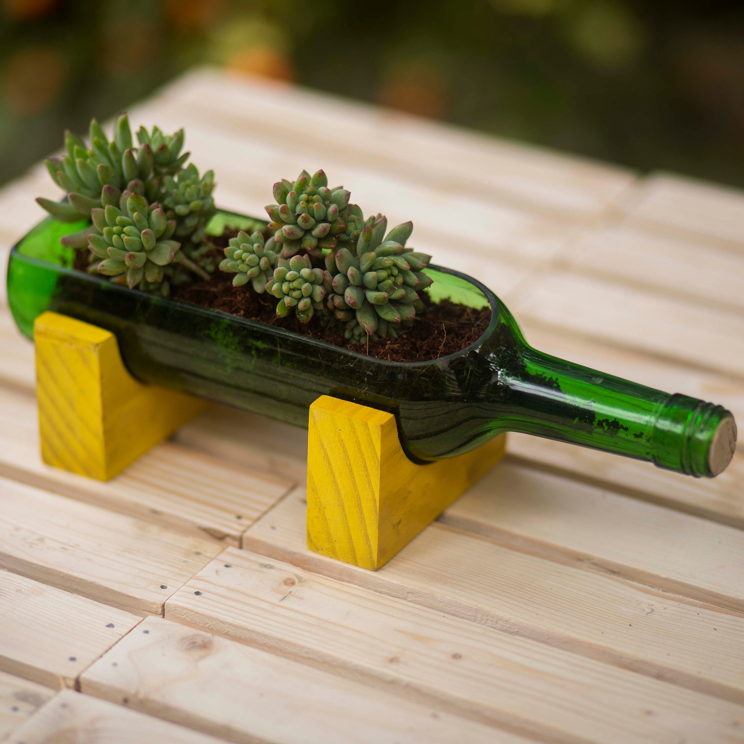 Upcycled Wine Bottle Planter Yellow | Handmade Glass Succulent Planter  GoGiftID