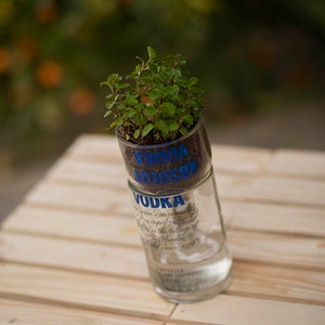 Self Watering Planter made from Upcycled Glass Vodka Bottle Hydroponic Reverse Osmosis Propagation Bud Vase Plant Herb Pot