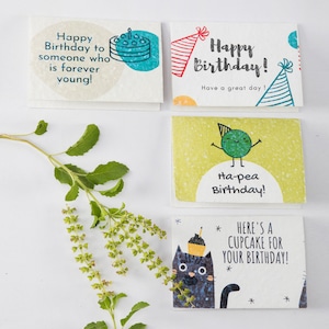 Carte de voeux d'anniversaire avec lot de graines à planter écologique biodégradable naturel mignon petit pois lunatique famille amis enfants carte d'anniversaire
