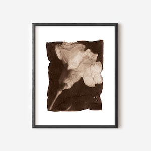 Carnation Printable Wall Art – Digital Floral Download – Vintage Botanical Print