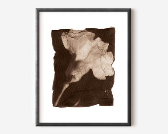 Carnation Floral Wall Art Printable – Minimal Botanical Art – Digital Download