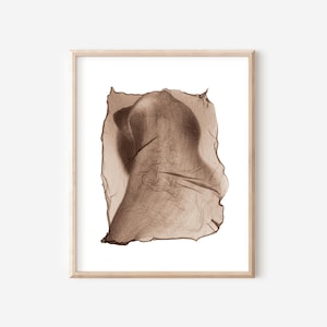 Calla Lily Printable Wall Art – Digital Floral Download – Minimal Botanical Decor