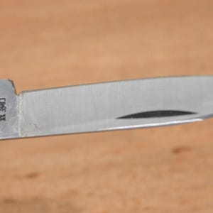 May include: Close-up of a stainless steel pocket knife blade with a cream-colored handle. The blade has a curved edge and a small indentation. The knife is marked with the text "CASE XX".