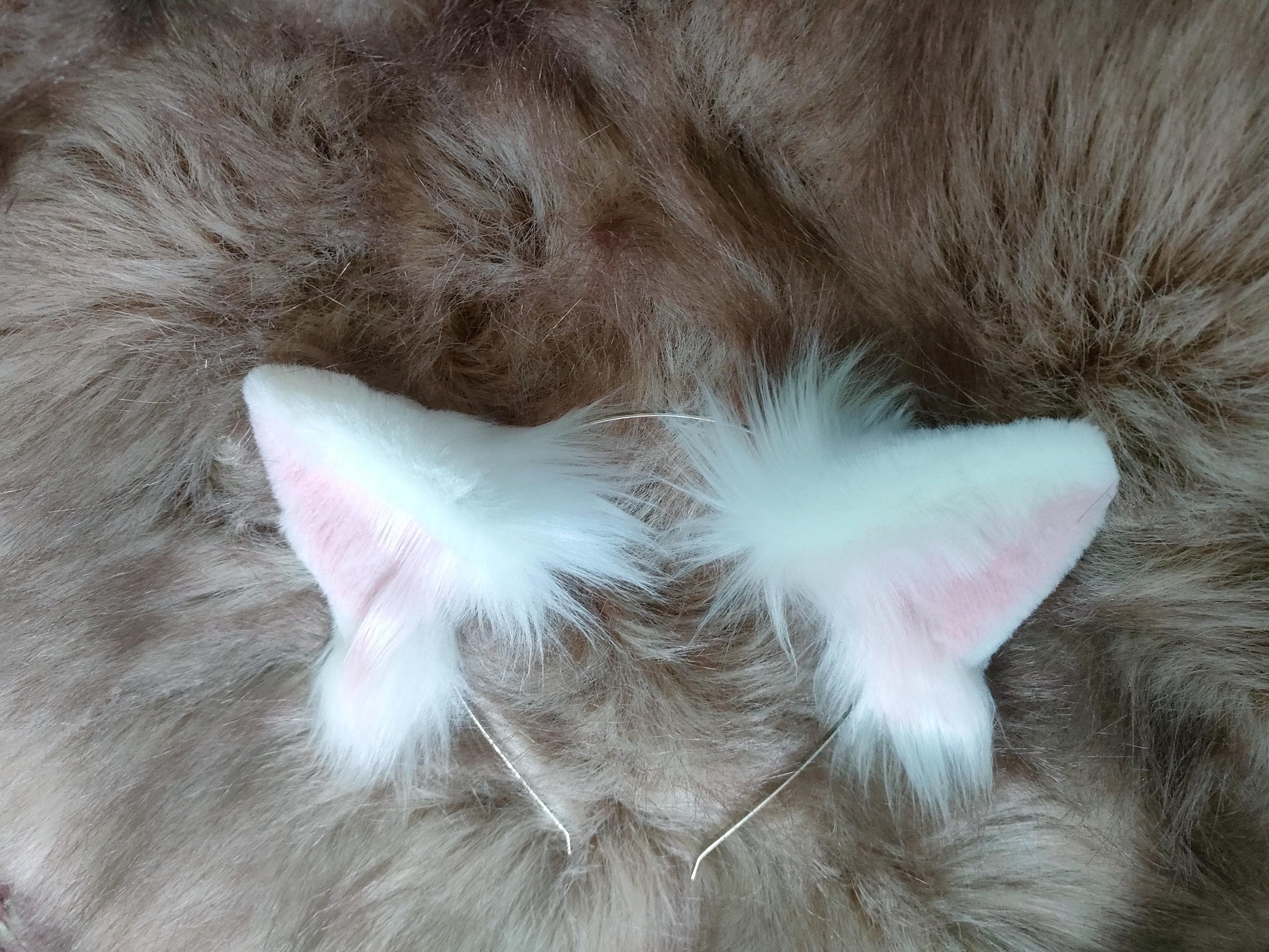 Bandeau Avec Oreilles De Chien Et Queue Duveteuse TTYAO REII - Marron Et Blanc - Pour Cosplay, Fête, Halloween - Accessoire Déguisement