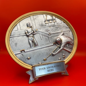 Pool Award, 8&quot; Oval Plate Resin in Gold and Silver Color for Desk or Wall Display