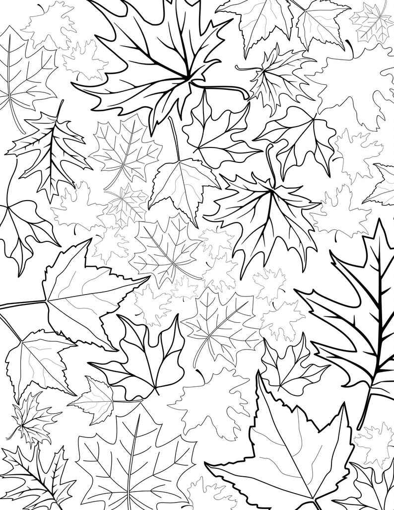 Printable Coloring Page Maple Leaves - Etsy