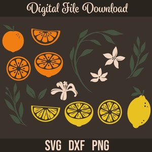Agrumes SVG, SVG orange, citron, téléchargement numérique, branche de citron svg, Cricut, Silhouette, Glowforge (15 individuels svg/png/dxf)