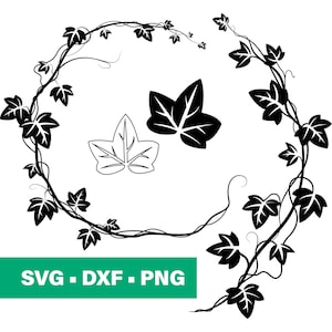 Efeu Blatt SVG, Poison Ivy SVG, Efeu Border, digitaler Download, Efeu Zweig svg, Cricut, Silhouette, Glowforge 4 einzelne svg/png/dxf image 1