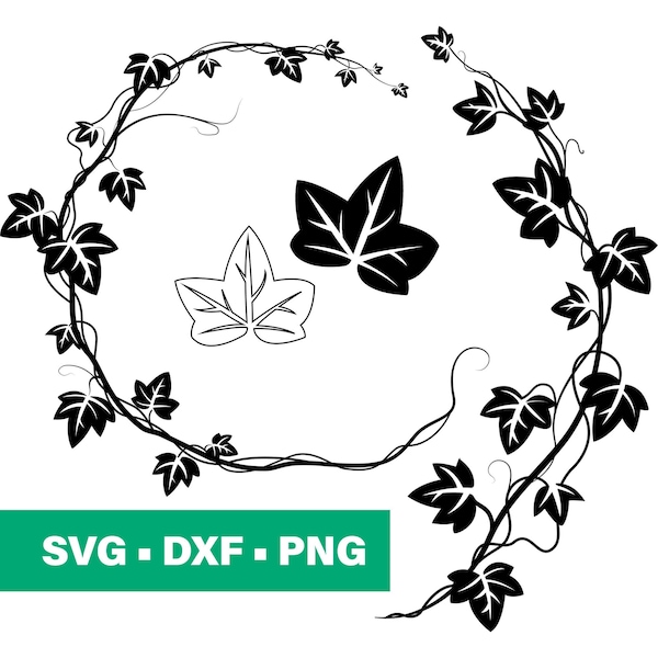 Efeu Blatt SVG, Poison Ivy SVG, Efeu Border, digitaler Download, Efeu Zweig svg, Cricut, Silhouette, Glowforge (4 einzelne svg/png/dxf)