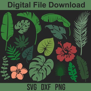 Paquete SVG de plantas tropicales, Hojas para descarga digital, Hibisco, Cricut, Silueta, Glowforge (17 svg/png/dxf individuales)