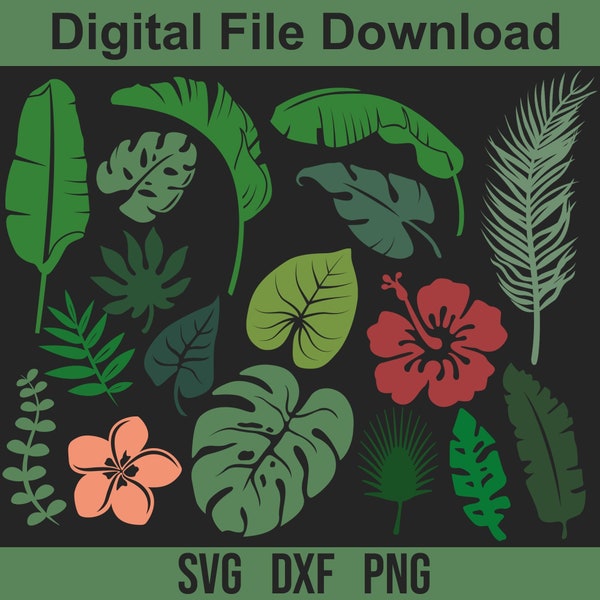 Tropical plants SVG Bundle, Leaves for Digital Download, Hibiscus, Cricut, Silhouette, Glowforge (17 individual svg/png/dxf)