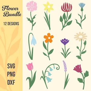 Bloem SVG bundel, bloemen met stengels voor digitale download, lentebloemen, Cricut, silhouet, Glowforge (12 individuele SVG/PNG/DXF)