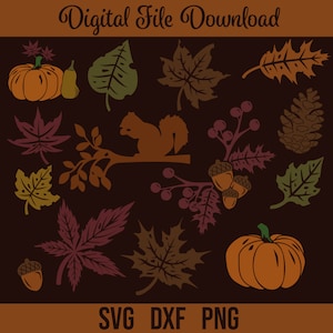 Pacchetto SVG autunnale, foglie per il download digitale, Pigna, Cricut, Silhouette, Glowforge (14 singoli SVG/PNG/DXF)