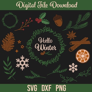 Décoration d’hiver SVG Bundle, Flocons de neige pour téléchargement numérique, Pinecone, Cricut, Silhouette, Glowforge (16 svg / png / dxf individuels)
