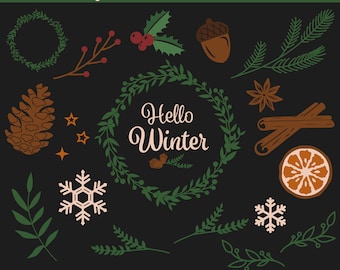 Winter Decoration SVG Bundle, Snowflakes for Digital Download, Pinecone, Cricut, Silhouette, Glowforge (16 individual svg/png/dxf)