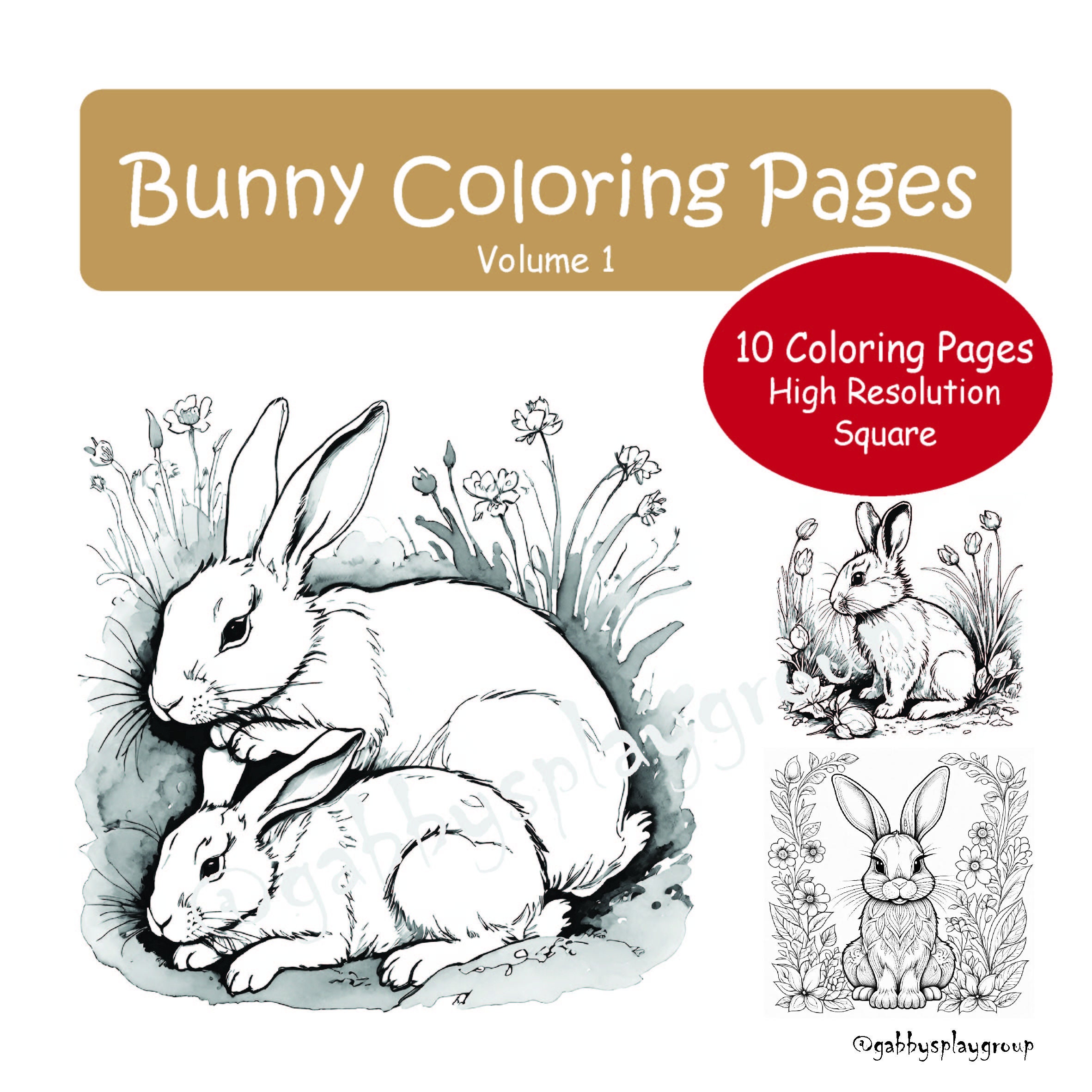 Bunny Rabbit 10x Coloring Pages, Square Printable Sheets, Realistic ...
