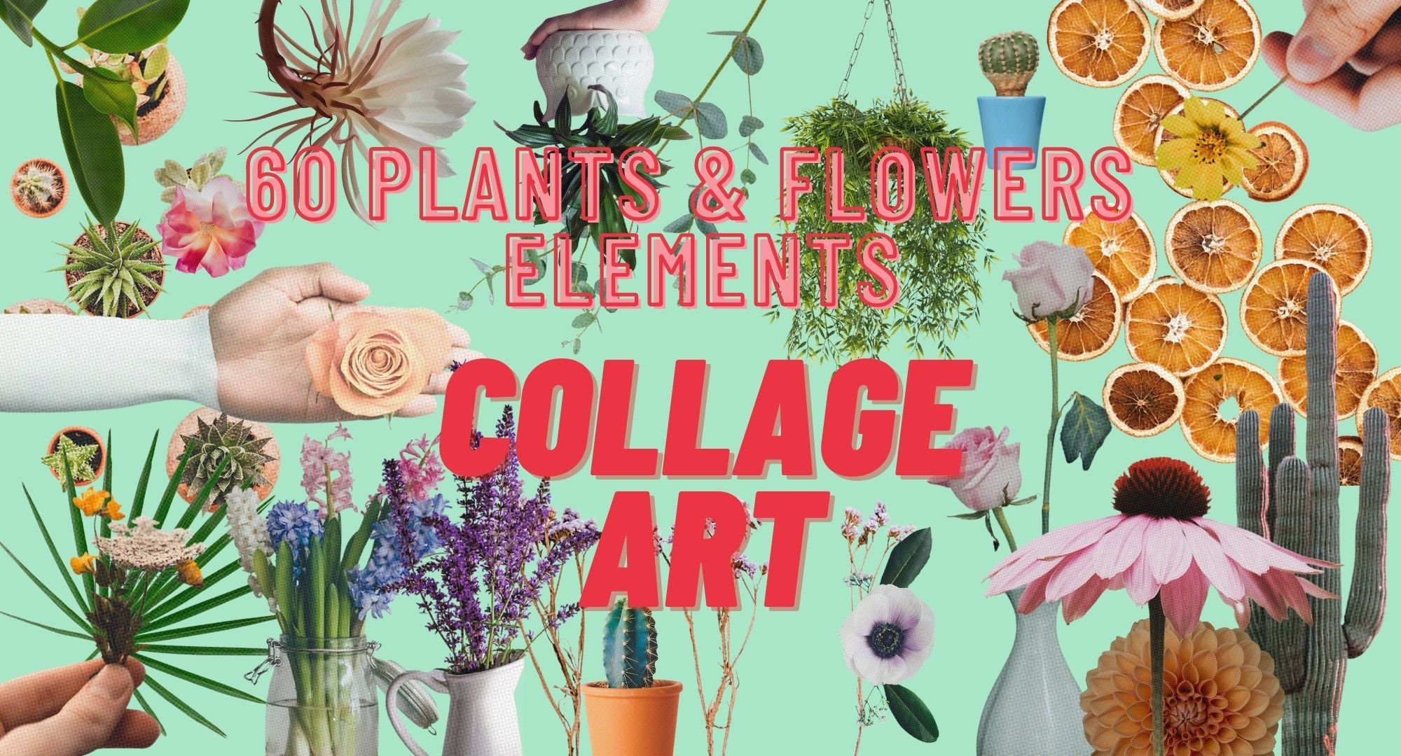Vintage Collage Plants and Flowers, Collage Cut-Outs, magazine cut outs, collage creator, Plants and Flowers