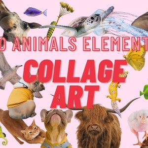 Vintage Collage Tiere Kit, Collage Cut-Outs, ZeitschriftenAusschnitte, Collage Creator, Tiere