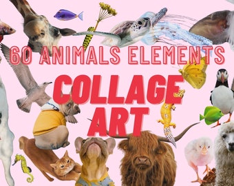 Vintage Collage Animals Kit, Collage Cut-Outs, magazine cut outs, collage creator, animals