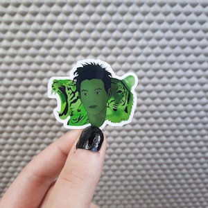 Beast Boy Aufkleber (DC Titans)