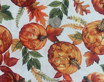 Fall Harvest Fancy Pumpkins Timeless Treasures 100% Cotton Fabric FREE SHIPPING