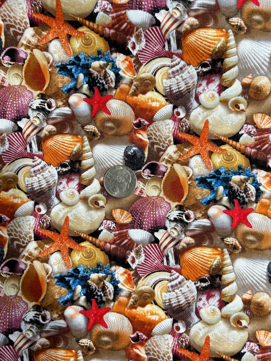 womens celso fabric open toe beach