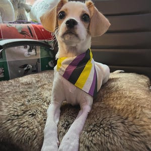 Non-Binary Pride Bandana for Pets, Collar Bandana for Dogs or Cats