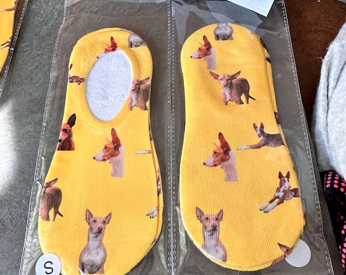 Greyhound Sighthound and Fun socks