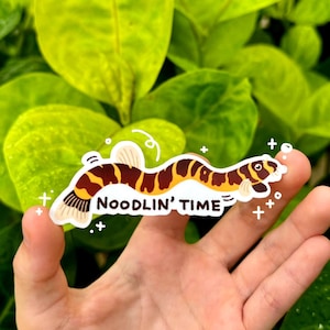 Noodlin' Time Loach Sticker | Meme glänzender Vinylaufkleber für Fischliebhaber