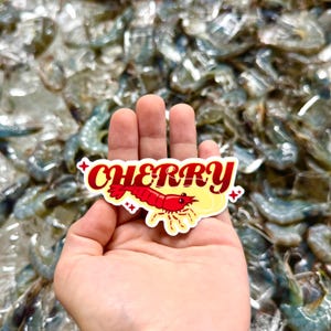 ¡Cereza! // Calcomanía de vinilo brillante de camarón cereza para amantes de los camarones, los álbumes de recortes y los peces crustáceos camarones y los acuarios con Holo Chance.