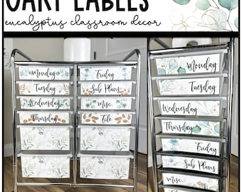 Eucalyptus and Gold 10 and 12 Drawer Rolling Cart Labels | Teacher Cart | Botanical Classroom Decor