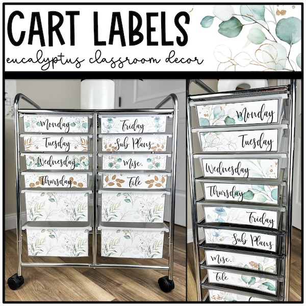 Eucalyptus and Gold 10 and 12 Drawer Rolling Cart Labels | Teacher Cart | Botanical Classroom Decor