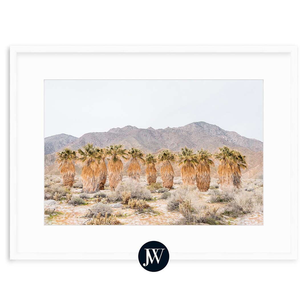 California Desert Palm Art Print Anzaborrego State Park Fine Art