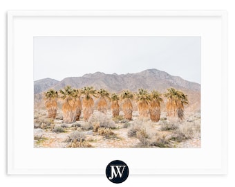 California Desert Palm Art Print, Anza-Borrego State Park, Palm Springs, Joshua Tree, Framed Fine Art Photography Prints, Desert Artwork