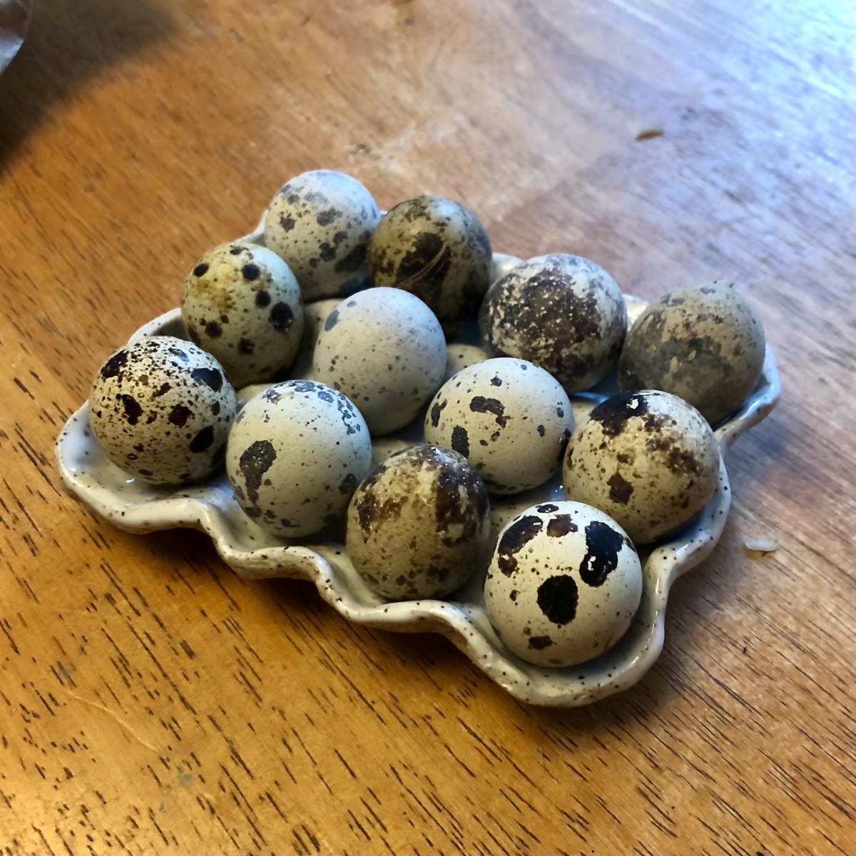 Ceramic Quail Egg Tray // Kitchen Storage // Kitchen Decor // Farmhouse Decor - Etsy