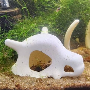 Cubone Skull for Aquariums, Terrariums, and Decor