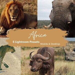 Lightroom Presets Africa - Mobile & Desktop