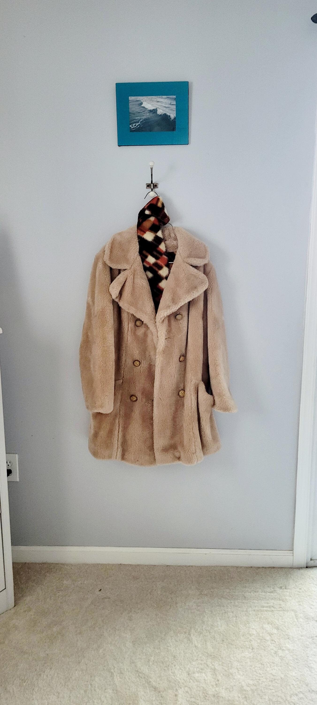 Sears camillus petite coats