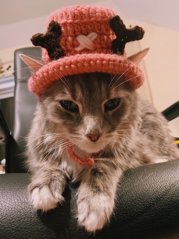 Hat for Cat Tony Tony Chopper Cosplay 