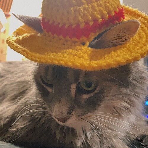 Monkey D. Luffy Crochet Cat Hat - Etsy