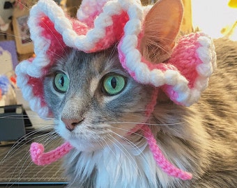 Crochet strawberry short cake hat for cat