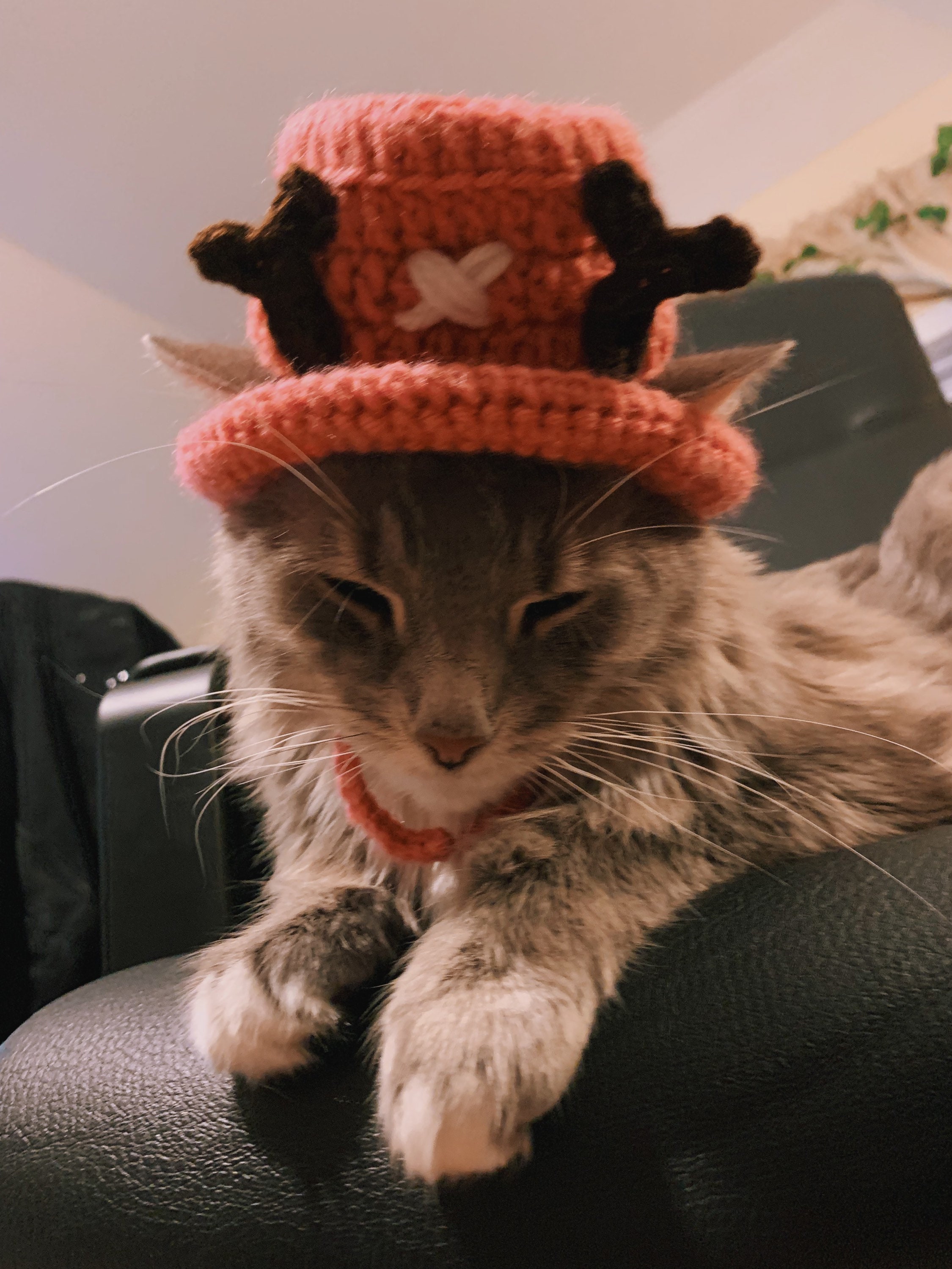 Hat for Cat Tony Tony Chopper Cosplay 