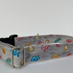 Colorful Ocean Fish Dog Collar