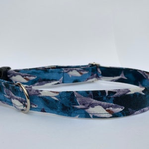 Puede incluir: Un collar de perro azul con estampado de tiburones blanco y gris. El collar tiene una hebilla de plástico negro y un anillo de metal plateado.