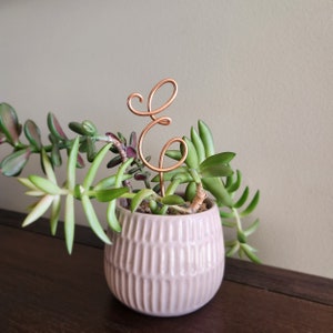 May include: A succulent plant in a light gray ceramic pot with a copper wire letter 'E' decoration.