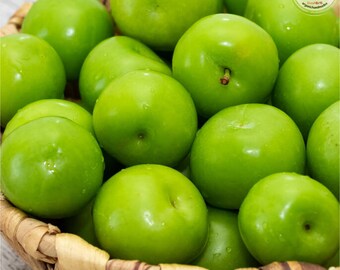 2 lb 900 gr Fresh Green Plum, Green Plum, Natural Green Plum,Fresh Fruit,Spring Fruit,Organic Green Plum,Sour Green Plums, Gift, Fresh Fruit