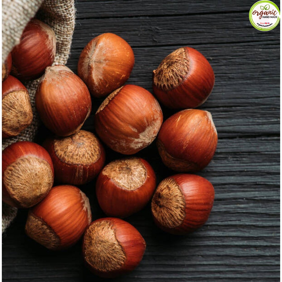 Hazelnut in Shell, Turkish Hazelnut, Fresh Produce, Premium Quality